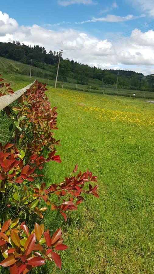 Podere Greve Chianti Сан-Кашіано-ін-Валь-ді-Пеза Екстер'єр фото