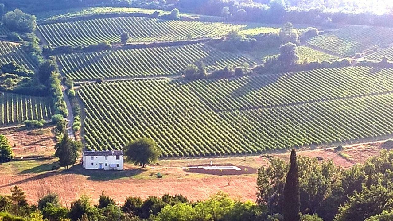 Podere Greve Chianti Сан-Кашіано-ін-Валь-ді-Пеза Екстер'єр фото